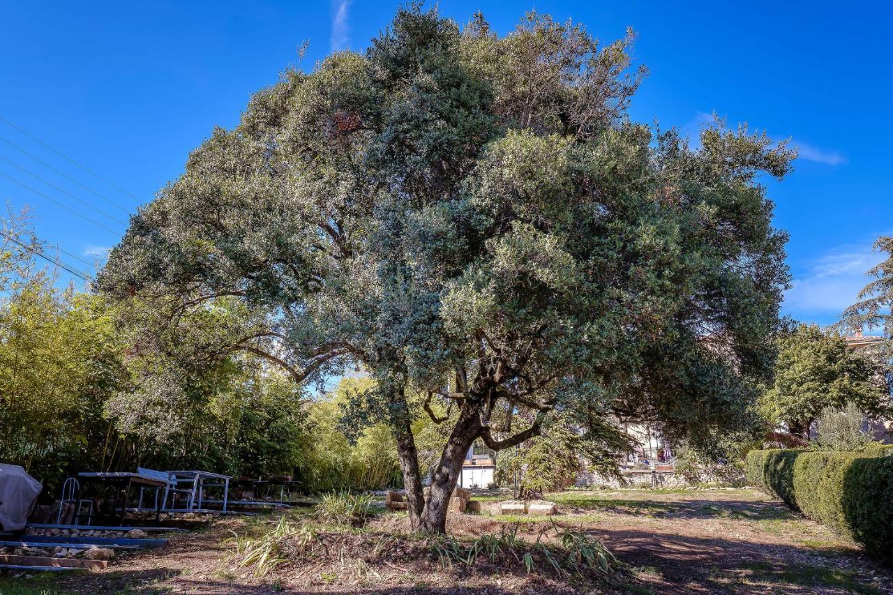 B&B En Provence- Villa Saint Marc Forcalquier Kültér fotó