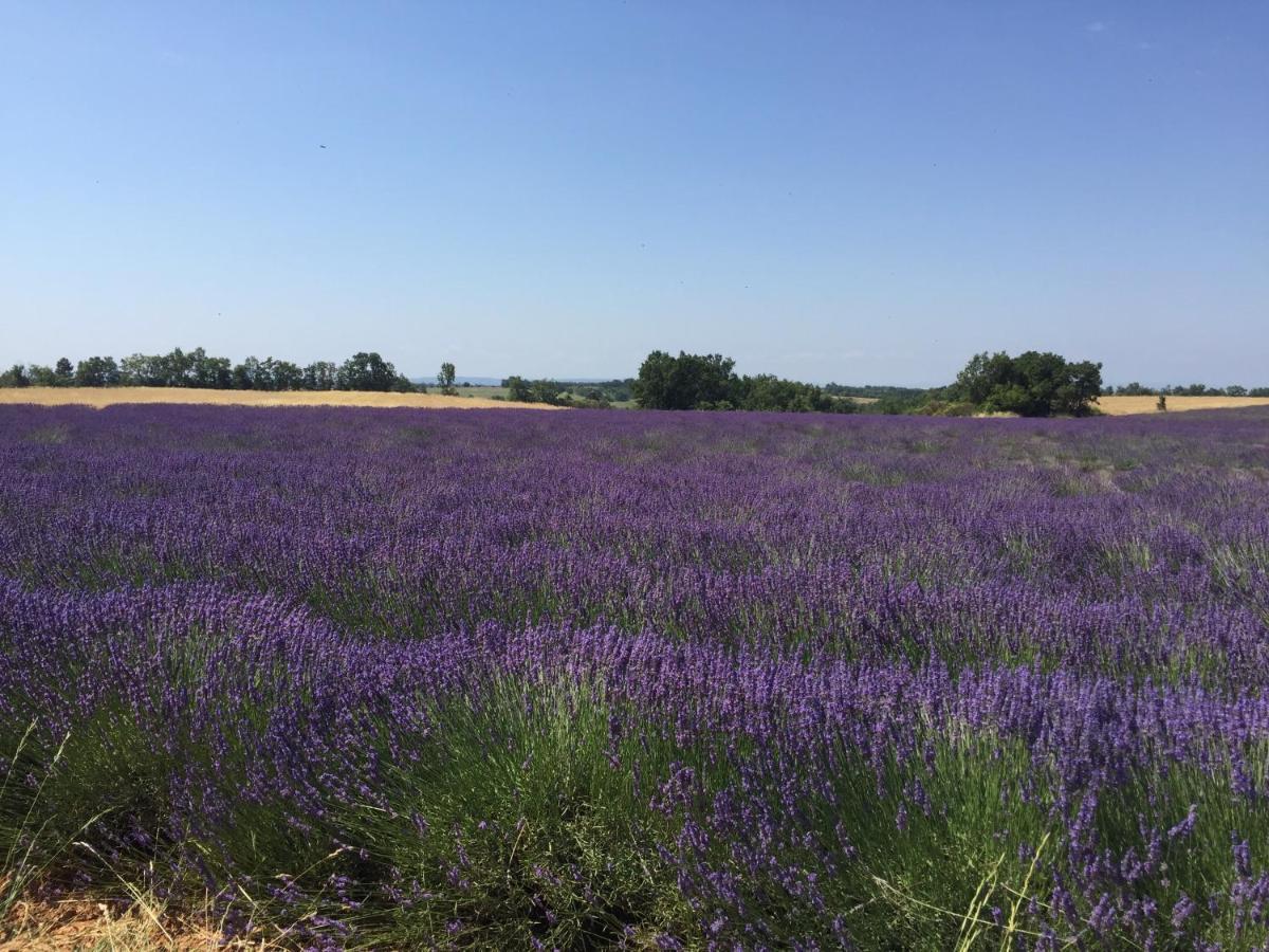 B&B En Provence- Villa Saint Marc Forcalquier Kültér fotó